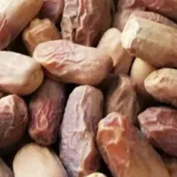 خرما قنداشکنی