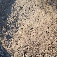 کود مرغی (چلغوز مرغ)