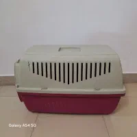 باکس پت|لوازم جانبی حیوانات|شهریار, یوسف آباد صیرفی|دیوار