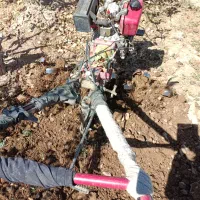 کار کشاورزی|خدمات باغبانی و درختکاری|زرند, |دیوار