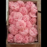 سرگل و گل مصنوعی قیمت عمده|گل مصنوعی|کرج, ساماندهی|دیوار