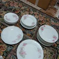 ظروف گل عروس