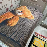 سرویس خواب نوجوان و کودک|تخت و سرویس خواب|ماکو, |دیوار