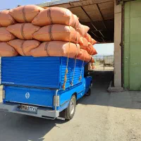 یونجه درجه یک|خدمات باغبانی و درختکاری|کامیاران, |دیوار