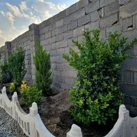 باغ و باغچه190متری گاز/برق/آب/تک برگ عرصه و عیان