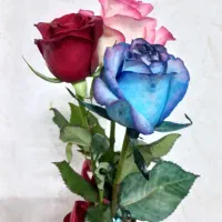 انواع لباس خواب فانتزی