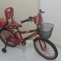 دوچرخه 20