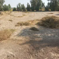 زمین روستای ملا ابراهیم