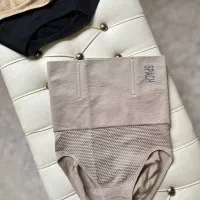 گن شکم و پهلو|لباس|بیرجند, |دیوار