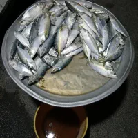 ماهی طلال