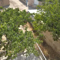 انبار در زیرزمین