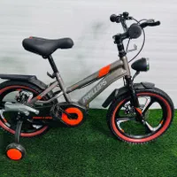 دوچرخه فلیپس اسپرت سایز ۱۶|دوچرخه، اسکیت، اسکوتر|قشم, |دیوار