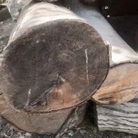 فروش چوب گردو