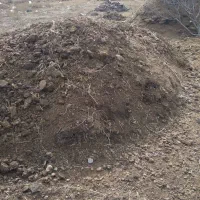 کود حیوانی|لوازم جانبی حیوانات|نوشین شهر, |دیوار