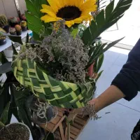 گل آفتابگردون خارجی فقط ۶۰ تومان|گل و گیاه طبیعی|شیراز, خلدبرین|دیوار