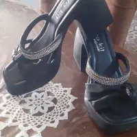 کفش مجلسی