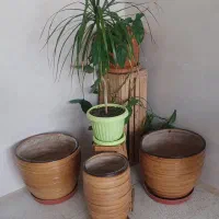 گل و گلدان و پایه گل|گل و گیاه طبیعی|کرج, بنیاد|دیوار