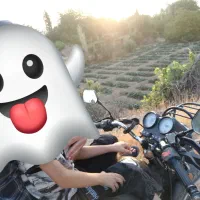 موتور احسان شکاری