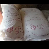 ارد تازه 15 درصد