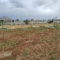 زمین ویلایی عقیل آباد گوار