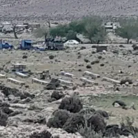 زنبور عسل ۵ -۶-۷قاب|حیوانات مزرعه|ششده و قره بلاغ, |دیوار