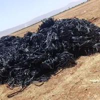 نوار قطره(تیپ)