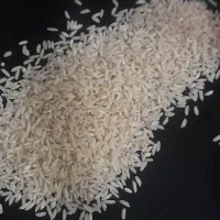 برنج محلی صدری و علی کاظمی