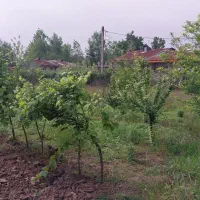 زمین-500-متر-بیجابنه