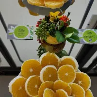 تور گردشگری به باغ ترنج شهسوار