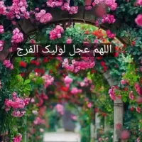 خط ۹۱۲ فروشی