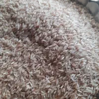 برنج فجر|خوردنی و آشامیدنی|گنبد کاووس, |دیوار