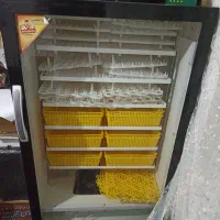 دستگاه جوجه کشی