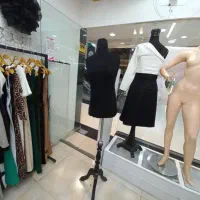 کانتر رگال مانکن|فروشگاه و مغازه|شیراز, تاچارا|دیوار