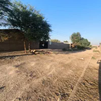 دامداری|فروش دفتر صنعتی، کشاورزی، تجاری|سوسنگرد, |دیوار