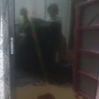 تلویزیون