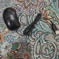 دوربین|دوربین مداربسته|خان ببین, |دیوار