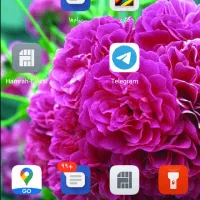 راهنمایی دکتر دیسک کمر