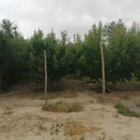 فروش-1500-متر-زمین-در-شهریار