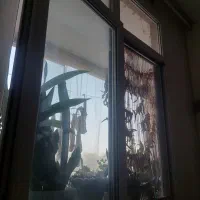تعدادی پنجره دوجداره pvc