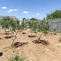 نقلی مزرعه جلال آباد بدون آب معاوضه ماشین و زمین|فروش زمین و ملک کلنگی|نجف‌آباد, جلال آباد|دیوار