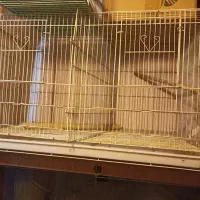 قفس پرنده در سه سایز|لوازم جانبی حیوانات|تهران, کاج|دیوار