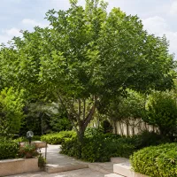 237-متر-ویلایی-دوبلکس-2-دهنه-تجاری-بر-خیابان-اصلی