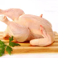 غذای سگ و گربه اسکلت مرغ تلفات مرغ