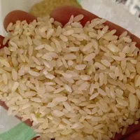 برنج چمچمال عطری
