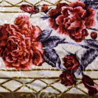 پتو خارجی ۴کیلو|رختخواب، بالش، پتو|شهرضا, |دیوار