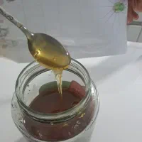 عسل همدان
