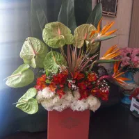 باکس گل طبیعی|گل و گیاه طبیعی|تهران, شهرک دریا|دیوار