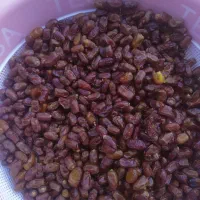 خرما سیاه|خوردنی و آشامیدنی|شیراز, تندگویان|دیوار