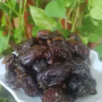 خرمای درجه یک دشتستان