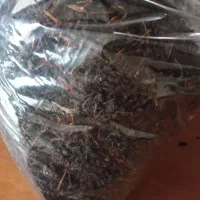 چای دستی محلی و کره و سرشیر محلی|خوردنی و آشامیدنی|رشت, حمیدیان|دیوار